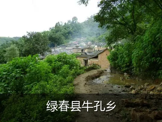 绿春县牛孔乡