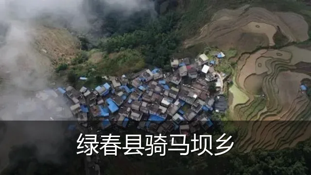 绿春县骑马坝乡